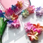 کلیپس پلومریا شاینی سایز کوچک